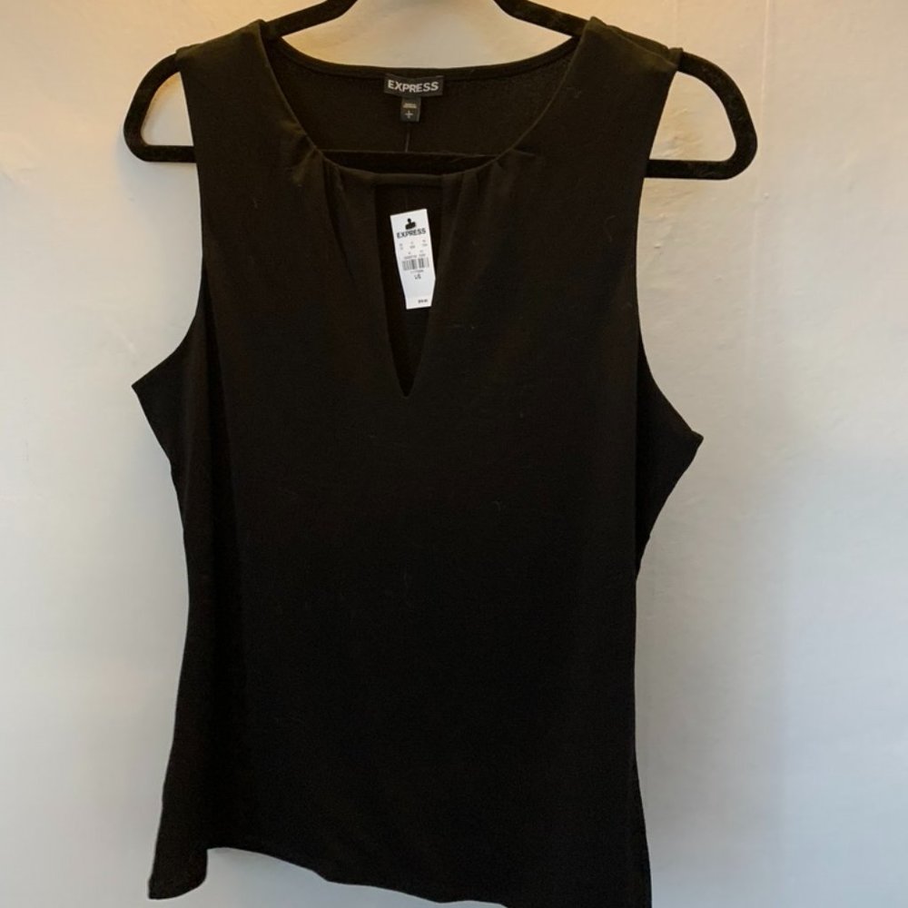 Express V neck no sleeve blouse